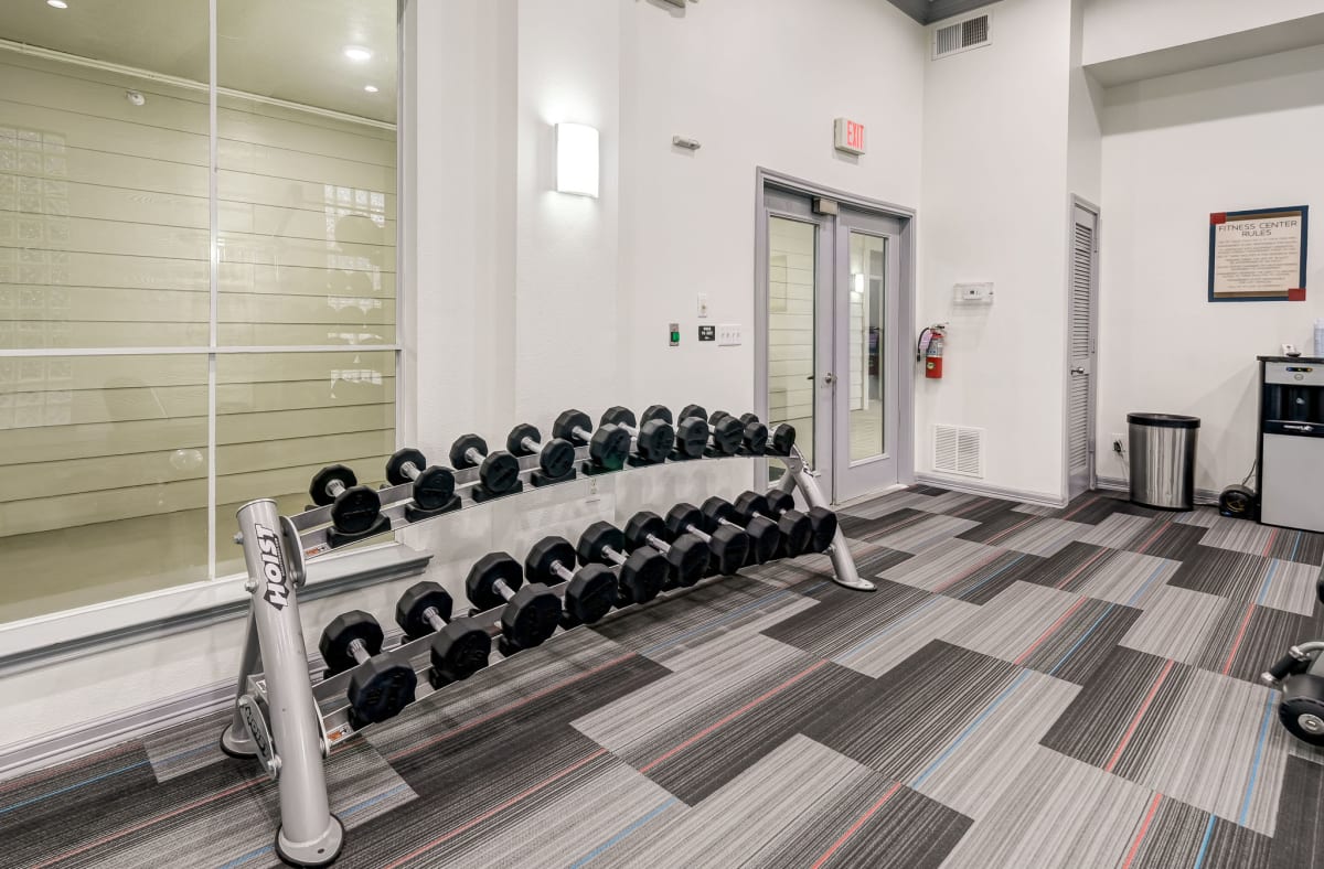 Museum District Apartments Houston The Plaza Museum District